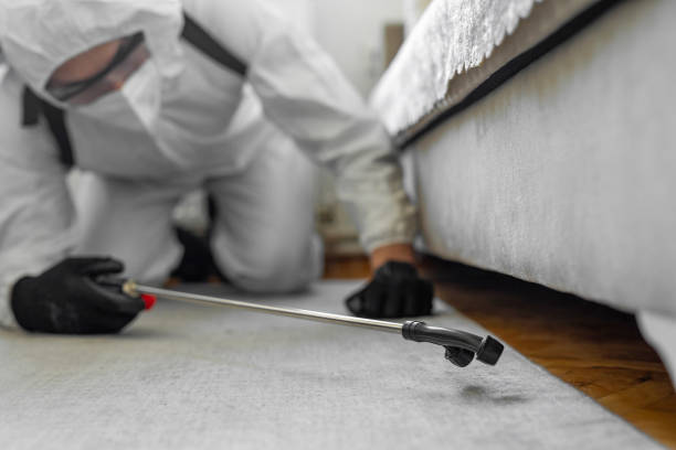 Professional Cockroach Control technician working in Teaticket, MA