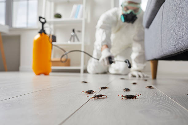 Affordable Cockroach Control solutions in Teaticket, MA